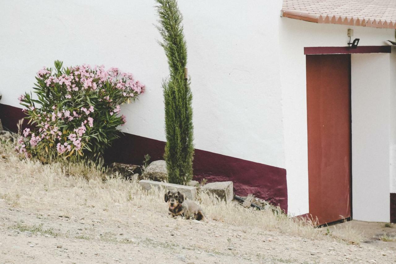 Casas Da Faia - Nature Guest House 阿龙希什 外观 照片