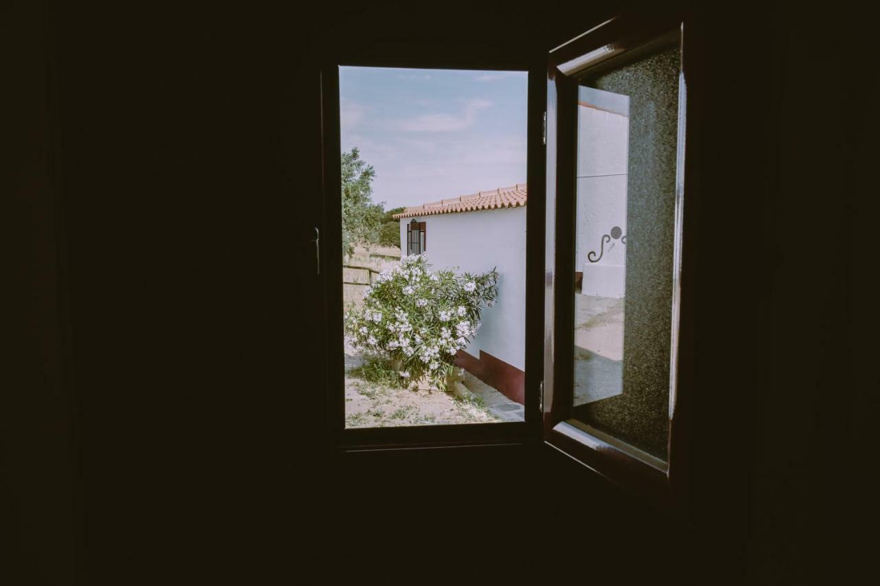 Casas Da Faia - Nature Guest House 阿龙希什 外观 照片